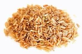 Proteines de riz végétales 10ml
